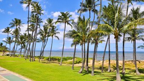 A grassy area with a shuffleboard court, palm trees, and a view of the ocean. - Oceanfront, Hale Kai O Kihei, incredible sunsets, King bed, AC, remodeled 2023 (Kihei)