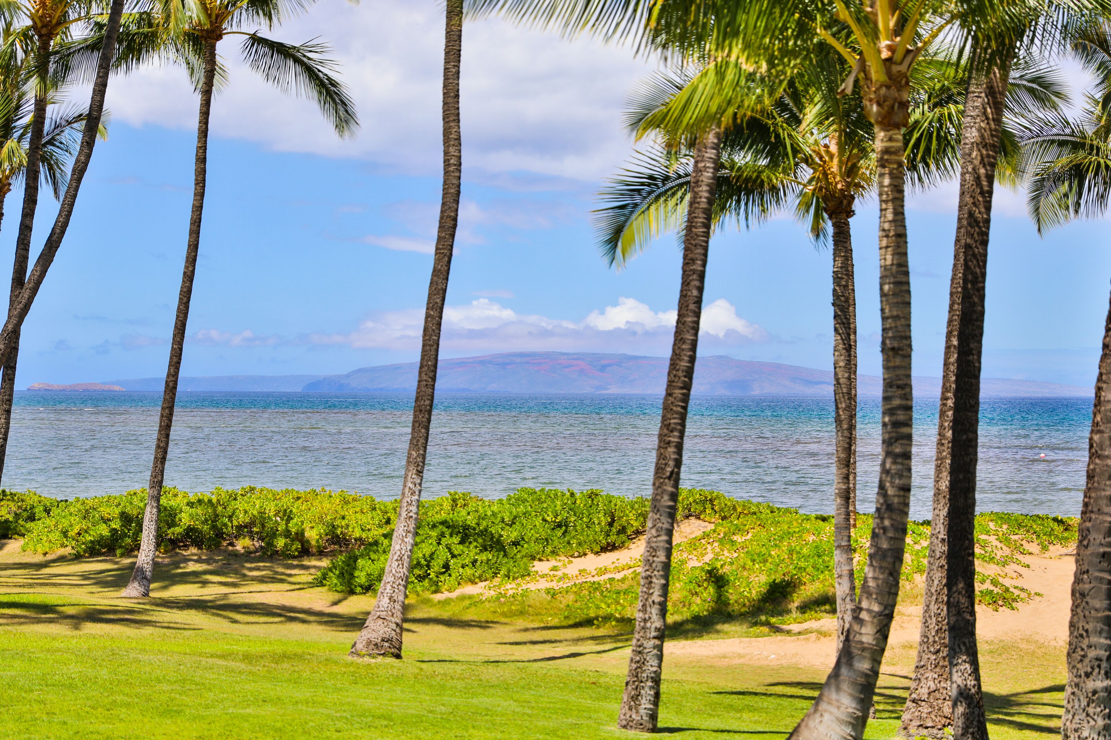 Sur la plage, chaise longue, serviettes de plage
