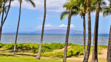 Sur la plage, chaise longue, serviettes de plage
