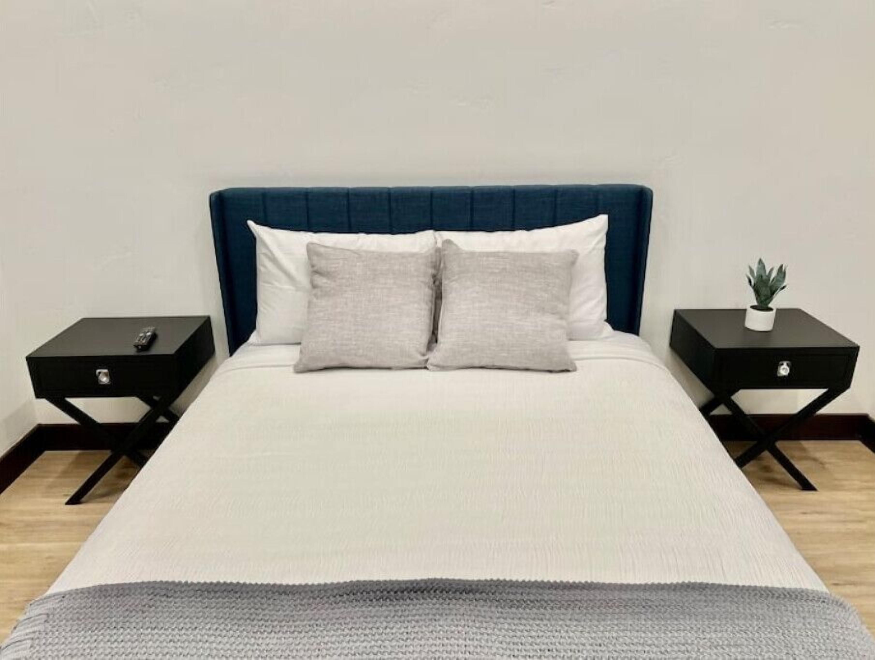 A bed with a white duvet and two pillows, flanked by two black nightstands with a small potted plant on one.