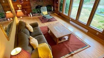 Una televisión, una chimenea