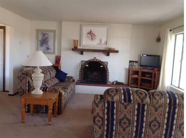 TV, fireplace, DVD player, books