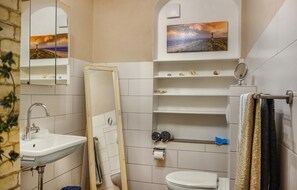 Shower, hair dryer