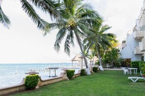 Property grounds - Beachfront 1BR - Stunning Views - Near Hotel Zone & Isla Mujeres Ferry (Cancun)