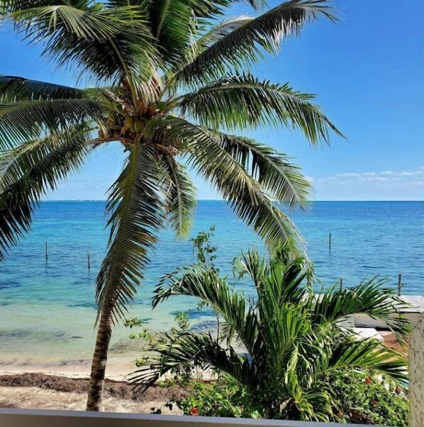 Beach - Beachfront 1BR - Stunning Views - Near Hotel Zone & Isla Mujeres Ferry (Cancun)