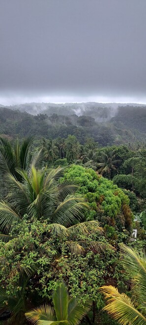 Miscellaneous - Treehouse retreat on small organic farm (Belle Vue)