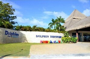 Exterior - Paradise in punta cana (Punta Cana)