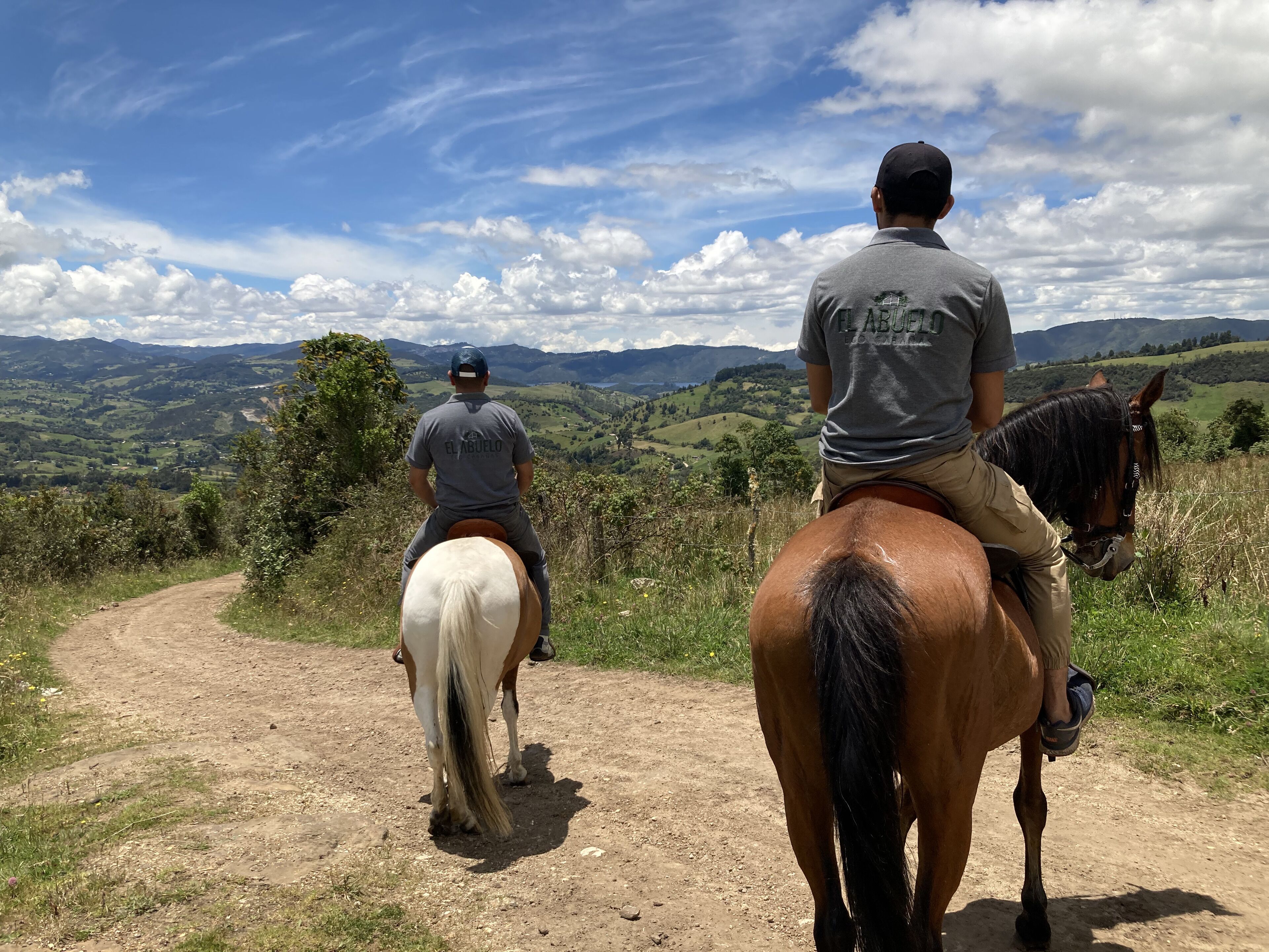 Escursioni a cavallo
