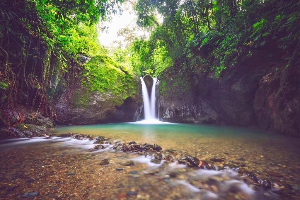Cascada en zona boscosa con agua cristalina y primer plano rocoso.