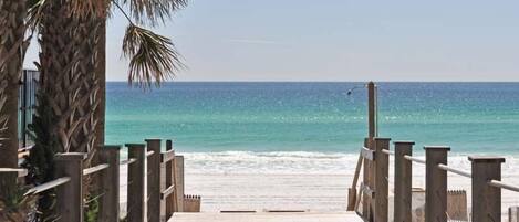Walk along the beachside boardwalk, surrounded by palm trees and the ocean.