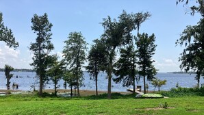 A grassy area with trees and a dock extending into a body of water.