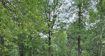 Whitetail Meadows RV Campsite