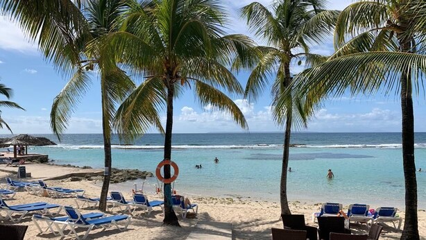 A beach with palm trees, a lifebuoy, and blue lounge chairs.