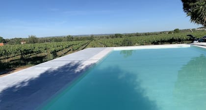 Pleno Alentejo Rodeado de Vinhas e Junto as Cidades de Borba, Vila Viçosa e Estr