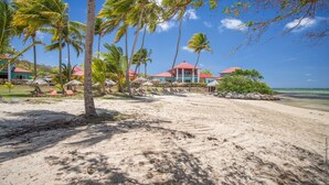 A beach resort with palm trees, beach umbrellas, and a clear view of the ocean.