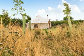 Una carpa en un campo cubierto de hierba, bajo un cielo despejado.