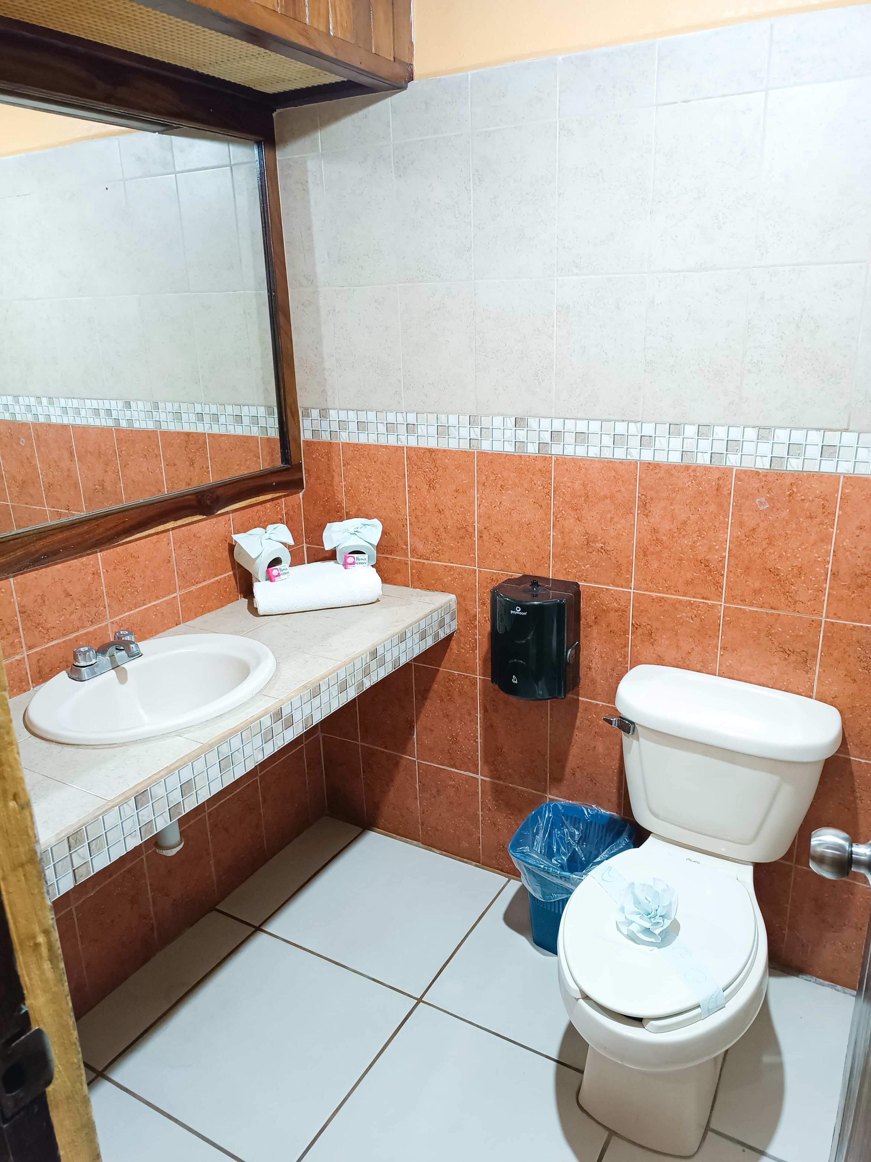 A bathroom with a sink, toilet, and a mirror.