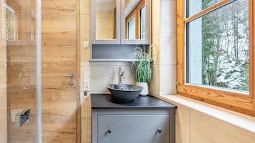 Shower, hair dryer, towels