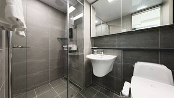 Shower, hair dryer, slippers, bidet