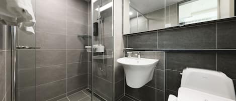 Shower, hair dryer, slippers, bidet