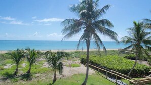 Vista de una playa con palmeras y cielo despejado.