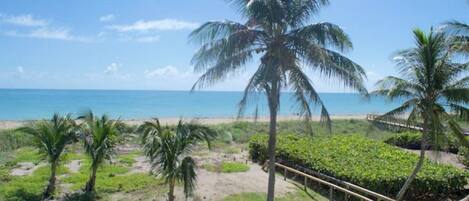 On the beach, sun-loungers, beach towels