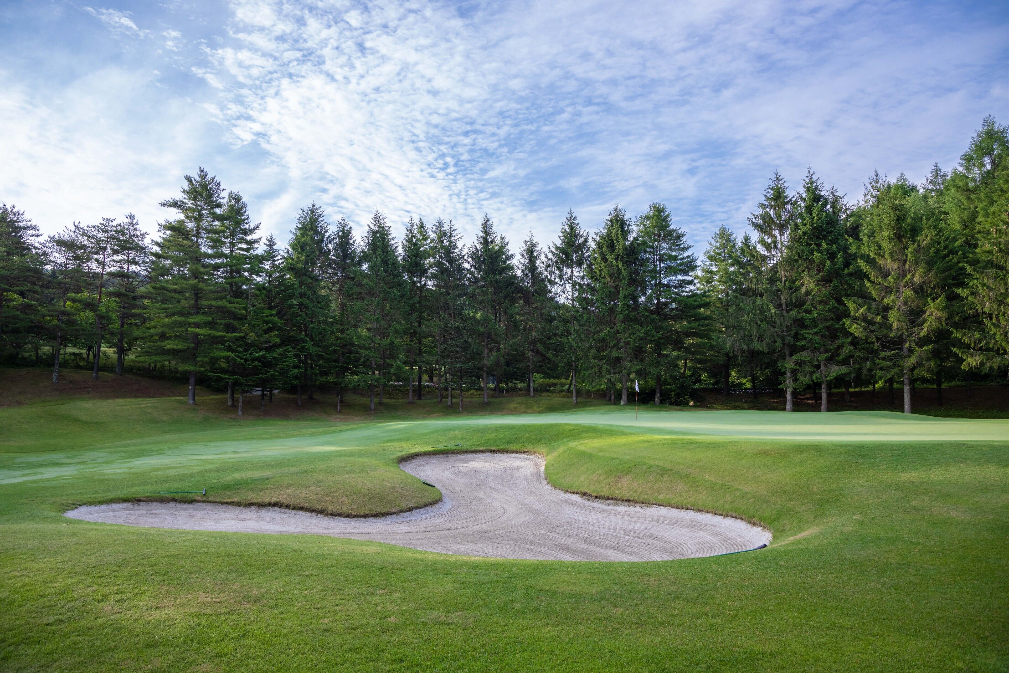 Un parcours de golf avec un bunker de sable et des arbres en arrière-plan.