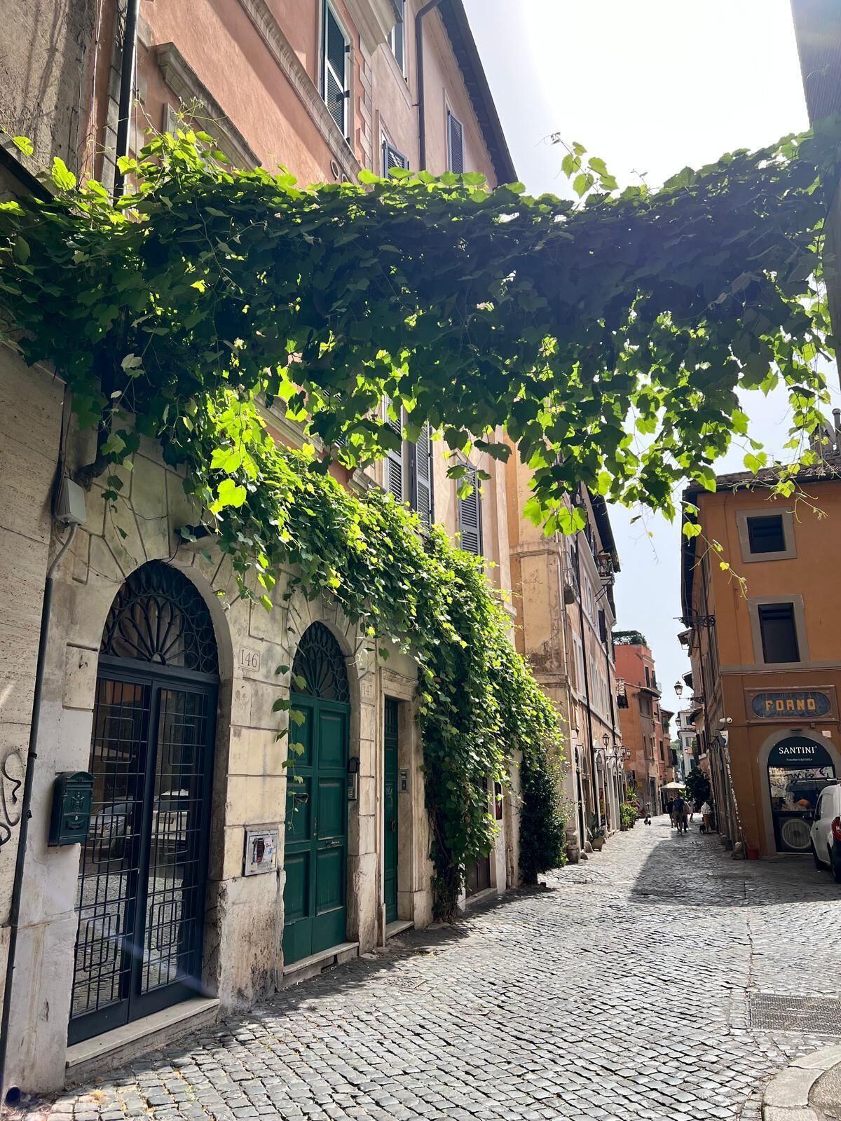 A cobblestone street with buildings on either side, one with a green door and a number '146' above it.