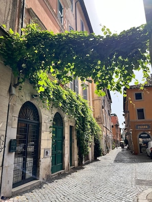 A cobblestone street with buildings on either side, one with a green door and a number '146' above it.