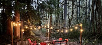 Mountain Thyme Cabin in Baring