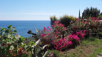 Apartment, 2 Bedrooms, Smoking, Balcony | Garden