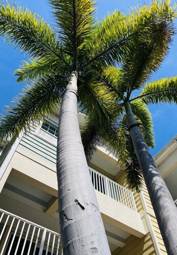 Waterfront Getaway 449- Little Harbor Resort
