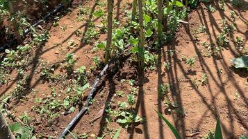 Sovsal - 2 sovrum - balkong | Boendeområde