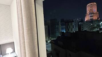 Apartment, 1 Bedroom, Accessible, City View | 1 bedroom