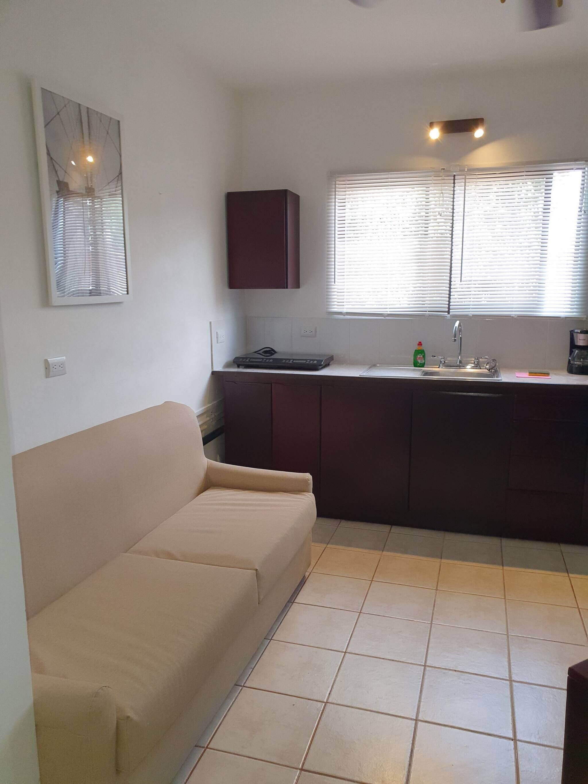 Apartment, 1 Bedroom | Living room