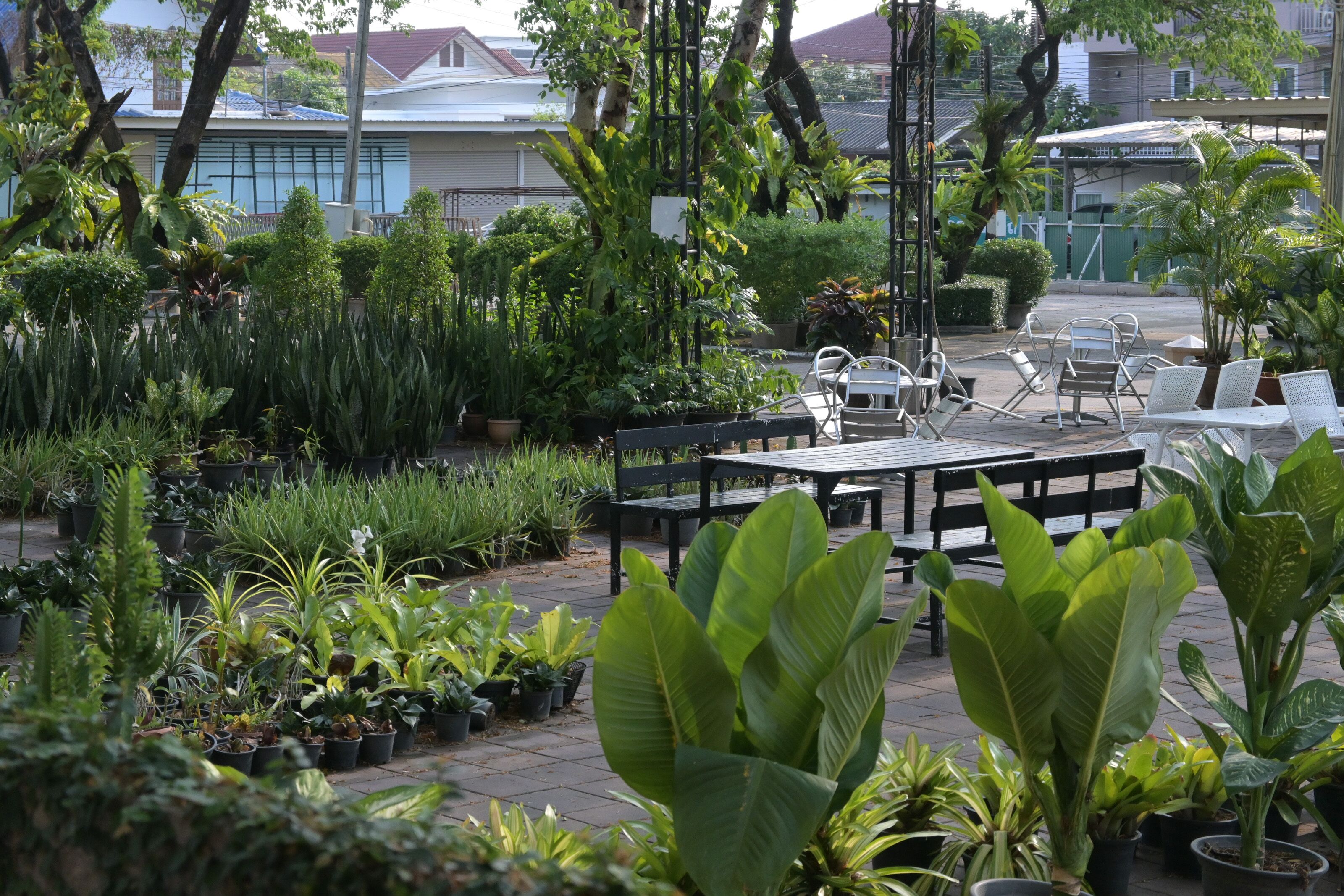 Un patio con plantas en macetas, mobiliario exterior y una vista de un edificio al fondo.