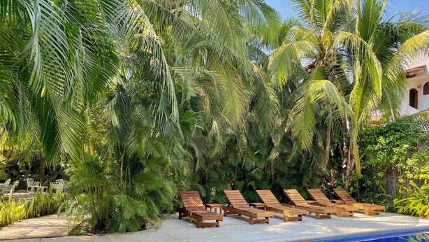 A poolside area with lounge chairs and a swimming pool surrounded by lush greenery.