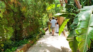 House, 2 Bedrooms, Smoking, Balcony | Property grounds - Park Residence Cicladi- 2 (Santa Flavia)