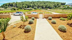 A vineyard with a paved driveway leading to a gated entrance, a parked car, and a stone wall. - Quicano - magnificent views and private pool in Lliber (Lliber)