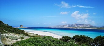 Ida Palace, new Deluxe Seafront Apartment