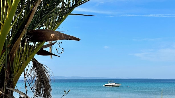 Uma praia com um barco na água, palmeiras e céu claro.