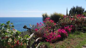 Ferienhaus, 2 Schlafzimmer, Raucher, Balkon | Garten