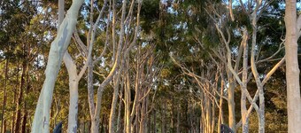 A peaceful retreat nestled on the banks of the Margaret River