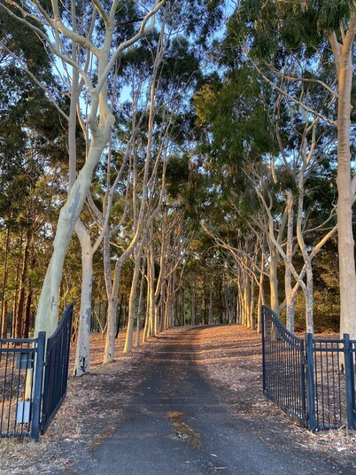 A peaceful retreat nestled on the banks of the Margaret River