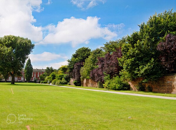 Land view from property