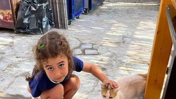 Aceita animais de estimação