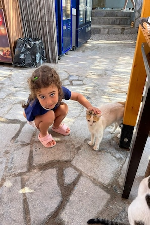 Pet-friendly