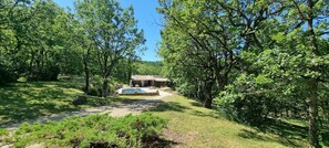 Property grounds - En Pleine Foret (Aurel)