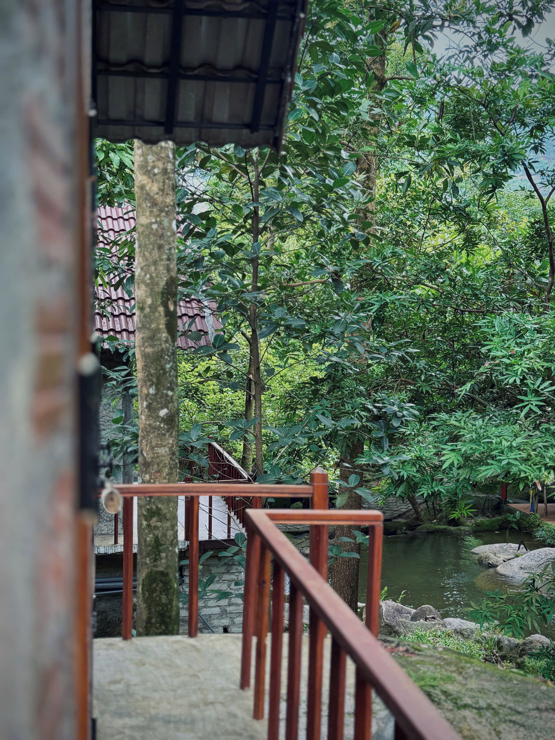 Familienbungalow, 1 Schlafzimmer, Balkon | Terrasse/Patio