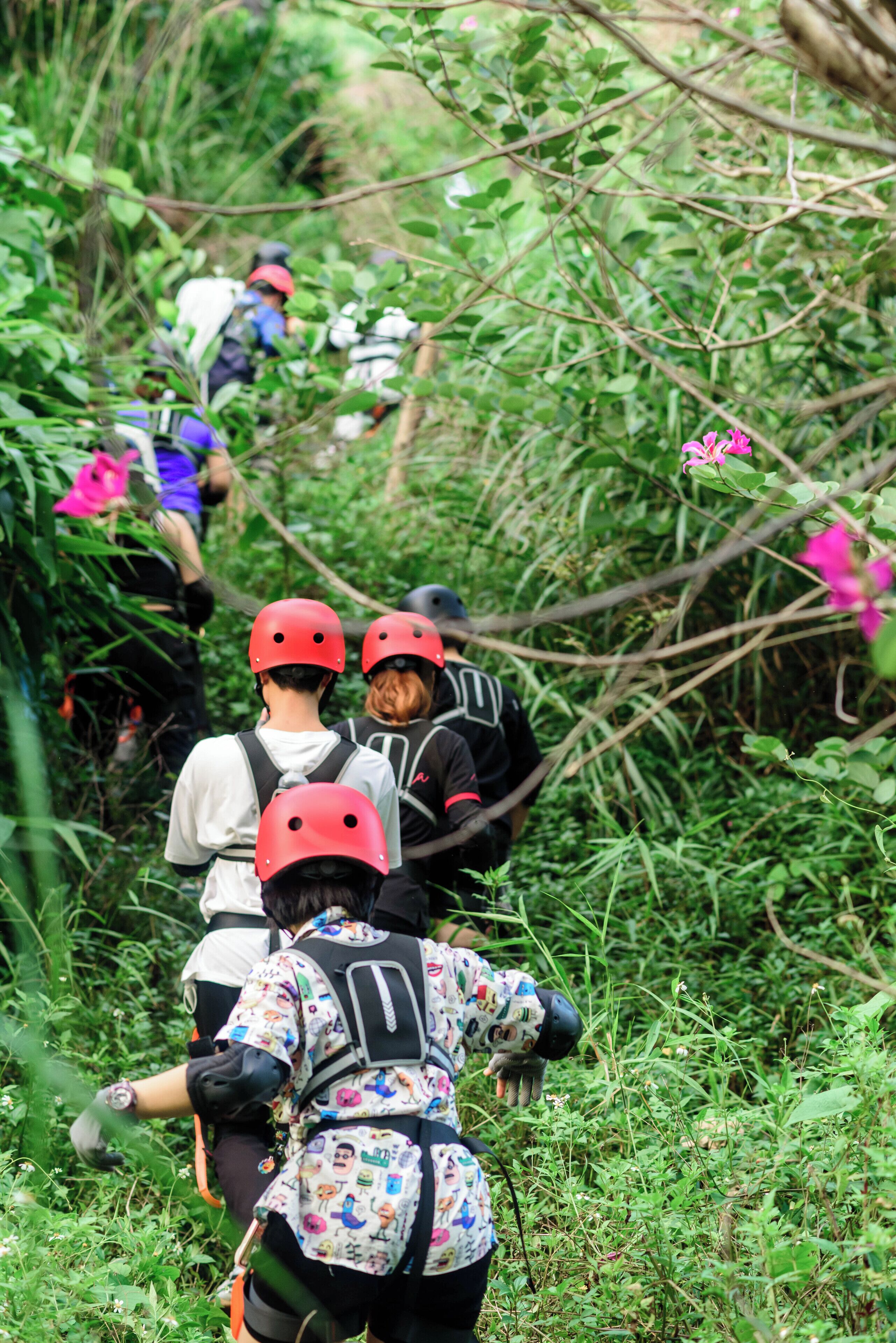 A group of people hiking in a lush, green forest.